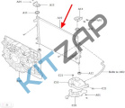 �������� ���������� ���������